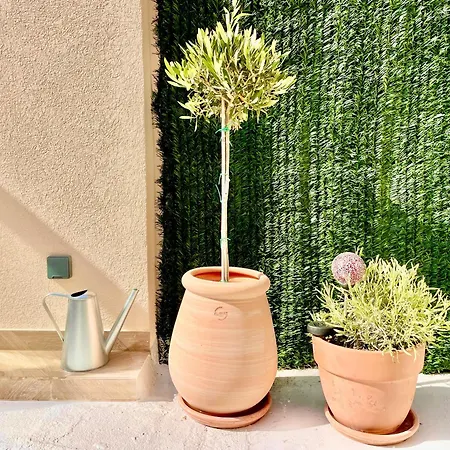 Apartamento Le Petit Nice